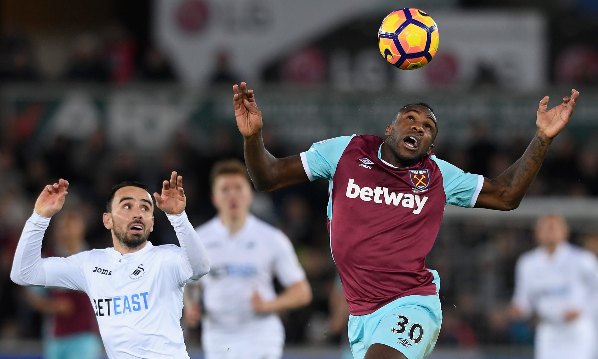 蘭足球的獨 蘭足球的獨